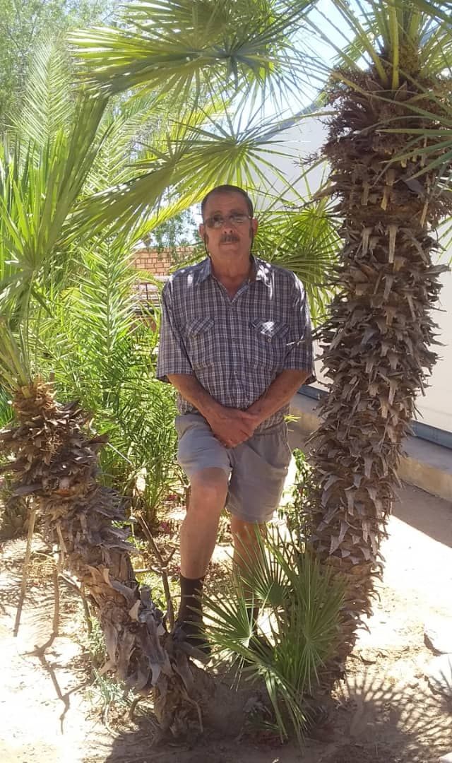 Daniel_564